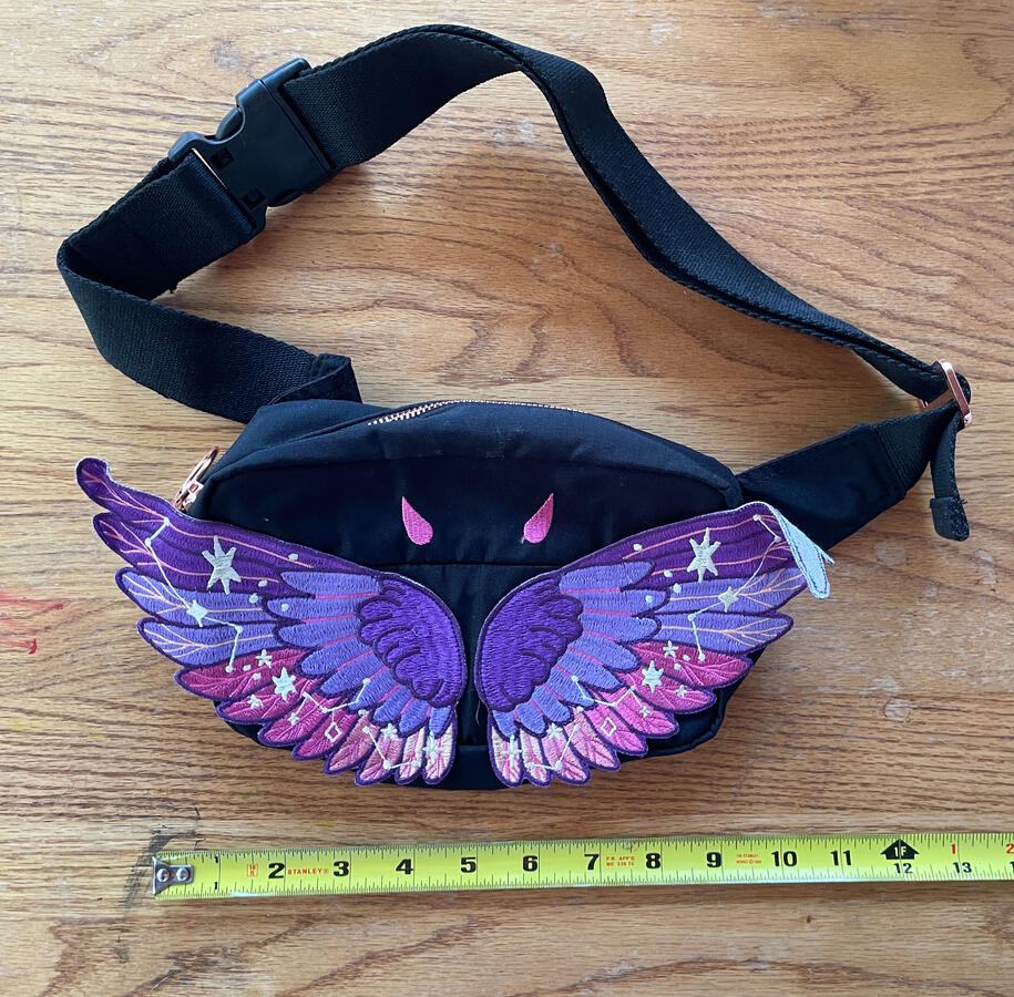 NWOT Celestial Wing Fanny Pack (black) - $20